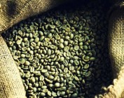 Green coffee для похудения: мифы и реальность